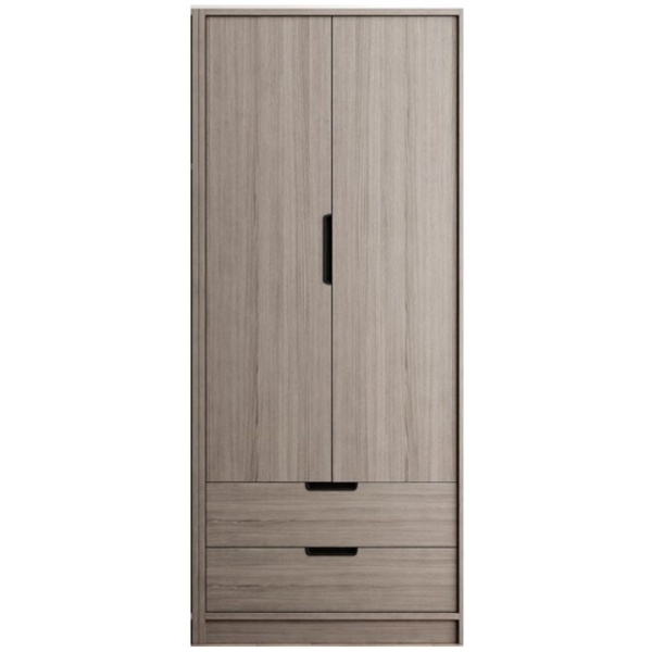 Double Door Modern Wardrobe (BJ505)