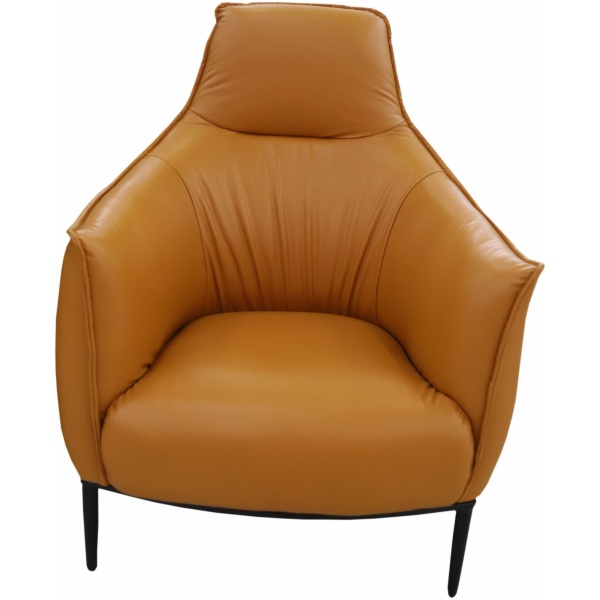 Lounge Chair (BP770)