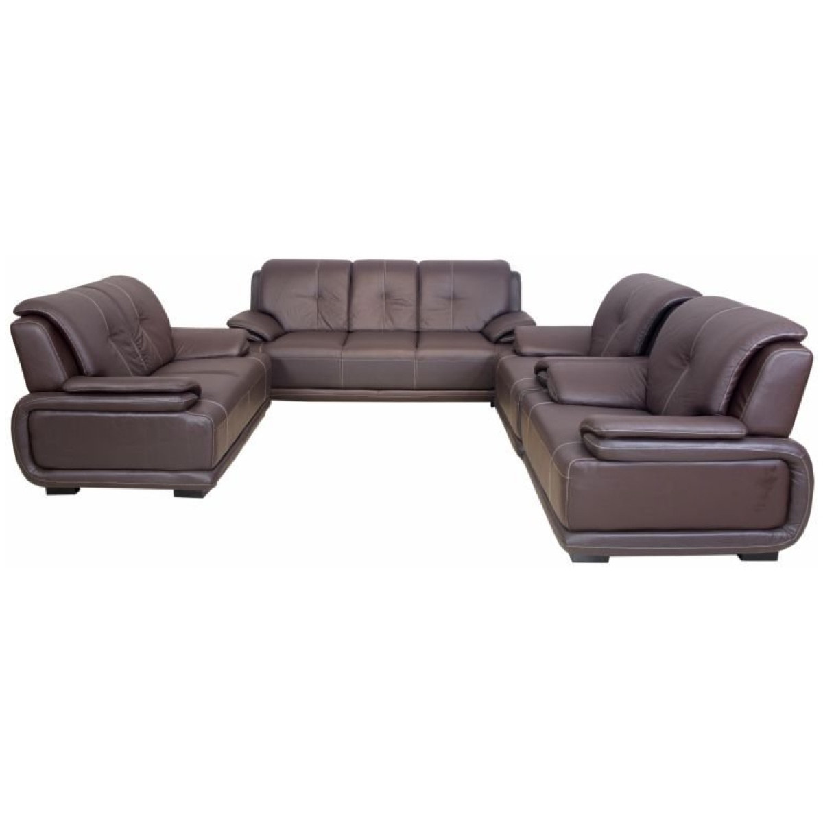 Modern Leather Sofa (SA310)
