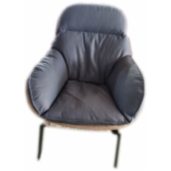 Unique Leisure Chair (BP1067)