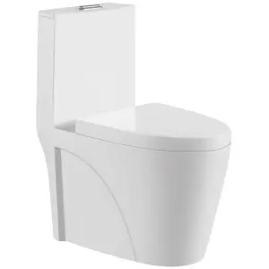 Toilet (WX181)